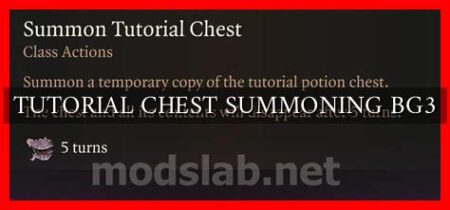 TUTORIAL CHEST SUMMONING BG3