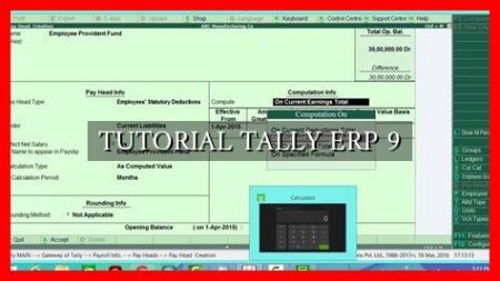 TUTORIAL TALLY ERP 9 TUTORIAL TALLY ERP 9