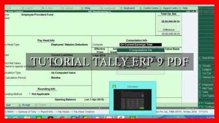 TUTORIAL TALLY ERP 9 PDF TUTORIAL TALLY ERP 9 PDF