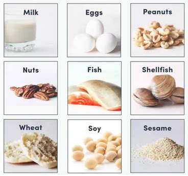 Top 9 food allergens - Wadaef