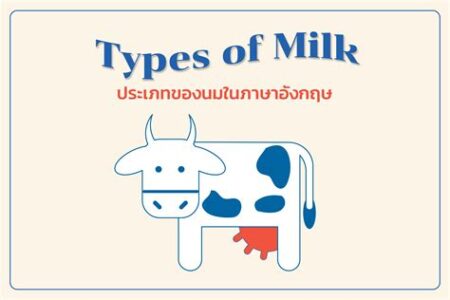 Types of milk nyt connections