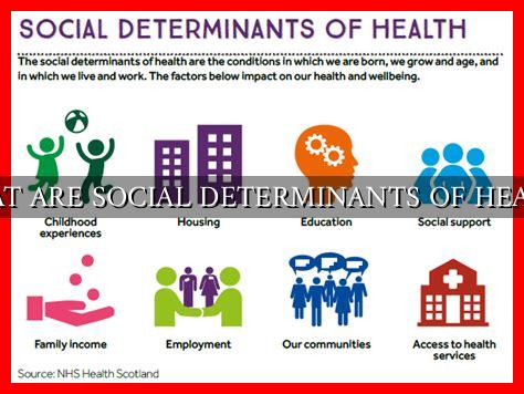 WHAT ARE SOCIAL DETERMINANTS OF HEALTH WHAT ARE SOCIAL DETERMINANTS OF HEALTH