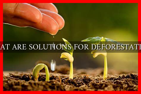 WHAT ARE SOLUTIONS FOR DEFORESTATION WHAT ARE SOLUTIONS FOR DEFORESTATION