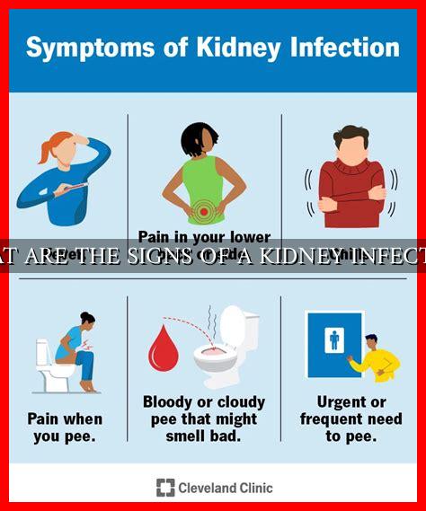 WHAT ARE THE SIGNS OF A KIDNEY INFECTION - Wadaef