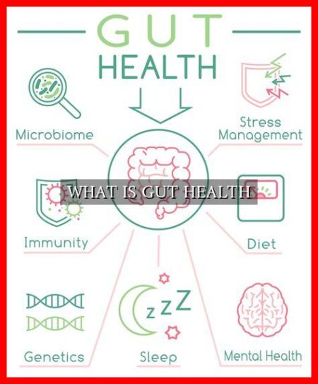 WHAT IS GUT HEALTH