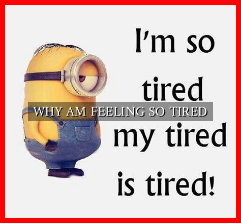 WHY AM FEELING SO TIRED - Wadaef