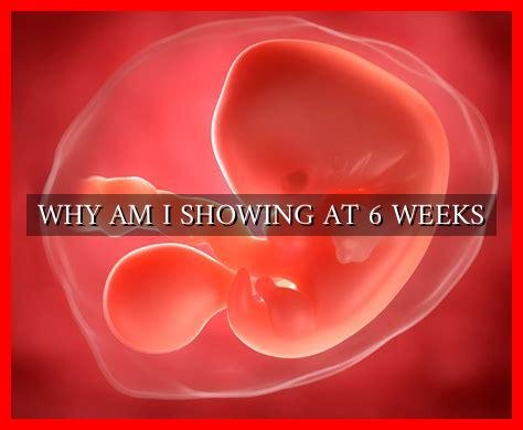 WHY AM I SHOWING AT 6 WEEKS - Wadaef