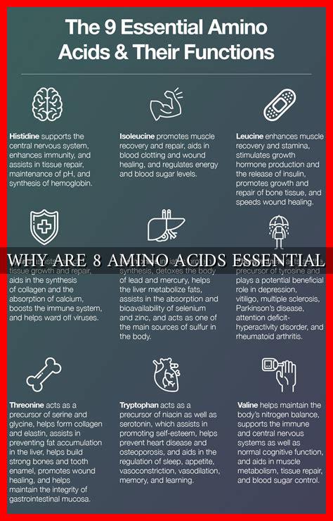 WHY ARE 8 AMINO ACIDS ESSENTIAL WHY ARE 8 AMINO ACIDS ESSENTIAL