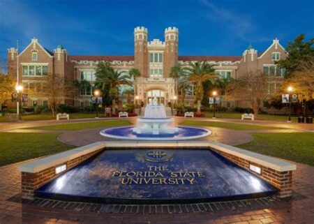 Where is university of florida