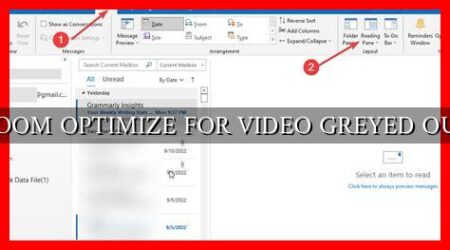 ZOOM OPTIMIZE FOR VIDEO GREYED OUT