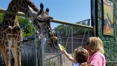 Zoo for free near me