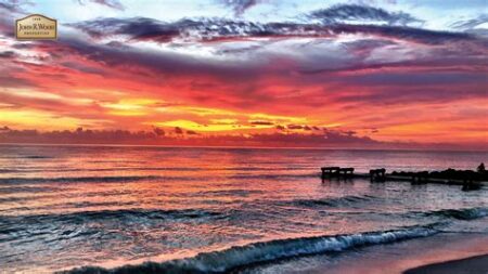 Zoom backgrounds for free