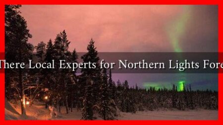 Are There Local Experts for Northern Lights Forecasts Are There Local Experts for Northern Lights Forecasts