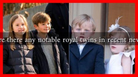 Are there any notable royal twins in recent news