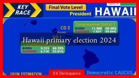 Hawaii primary election 2024
