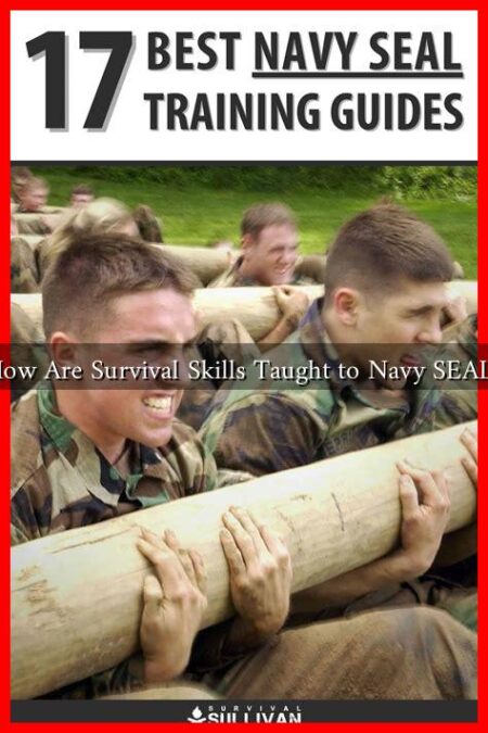 How Are Survival Skills Taught to Navy SEALs
