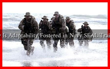 How Is Adaptability Fostered in Navy SEAL Training How Is Adaptability Fostered in Navy SEAL Training