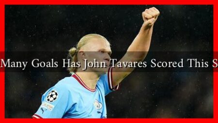 How Many Goals Has John Tavares Scored This Season How Many Goals Has John Tavares Scored This Season