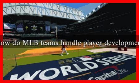 How do MLB teams handle player development