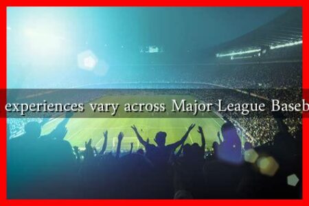 How do fan experiences vary across Major League Baseball stadiums