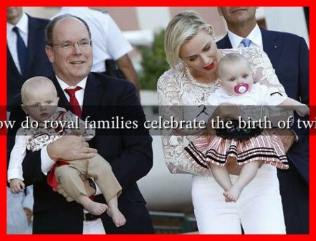How do royal families celebrate the birth of twins