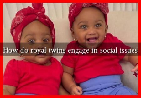 How do royal twins engage in social issues How do royal twins engage in social issues