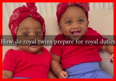 How do royal twins prepare for royal duties How do royal twins prepare for royal duties
