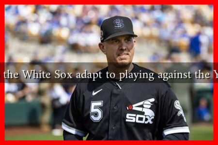 How do the White Sox adapt to playing against the Yankees?