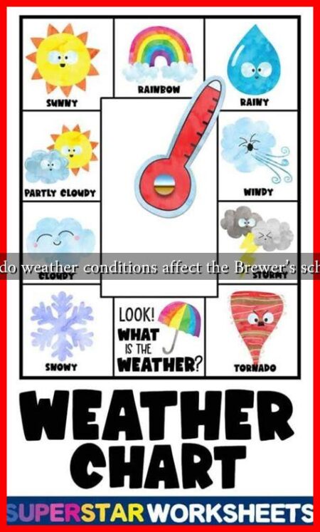 How do weather conditions affect the Brewer's schedule