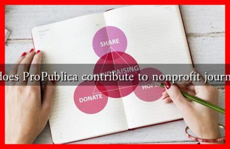 How does ProPublica contribute to nonprofit journalism? How does ProPublica contribute to nonprofit journalism?