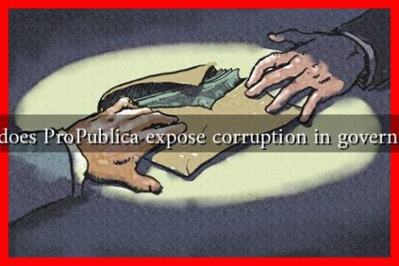 How does ProPublica expose corruption in government?