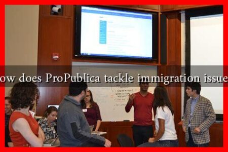 How does ProPublica tackle immigration issues?