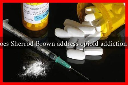 How does Sherrod Brown address opioid addiction issues?