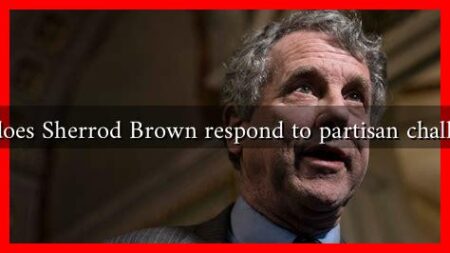 How does Sherrod Brown respond to partisan challenges?