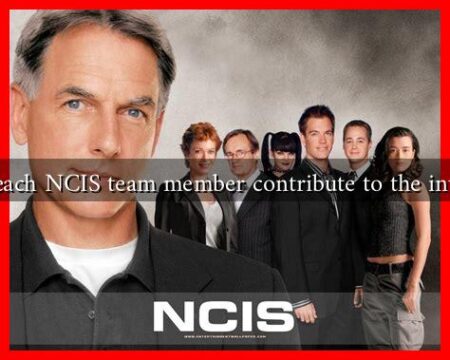 How does each NCIS team member contribute to the investigations