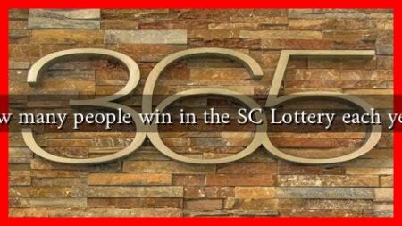 How many people win in the SC Lottery each year?