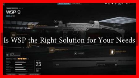 Is WSP the Right Solution for Your Needs