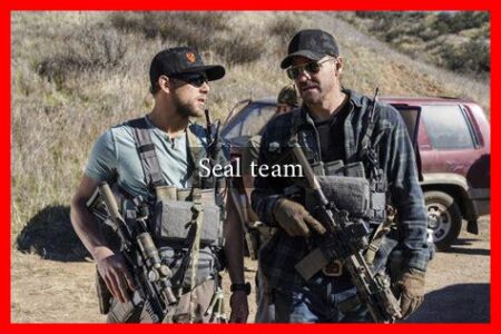 Seal team Seal team