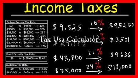 Tax Usa Calculator