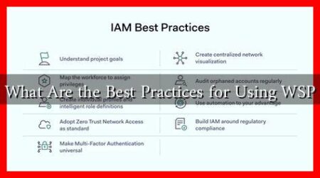 What Are the Best Practices for Using WSP