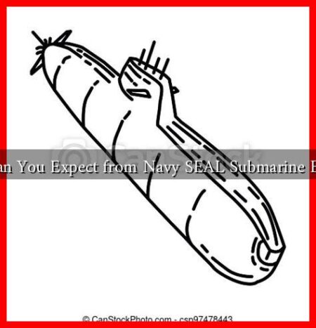 What Can You Expect from Navy SEAL Submarine Exercises What Can You Expect from Navy SEAL Submarine Exercises