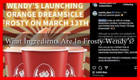 What Ingredients Are In Frosty Wendy's?