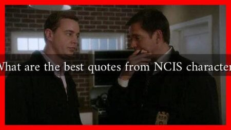 What are the best quotes from NCIS characters