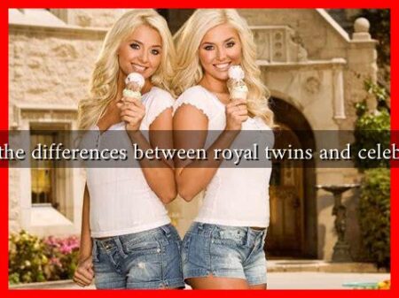 What are the differences between royal twins and celebrity twins