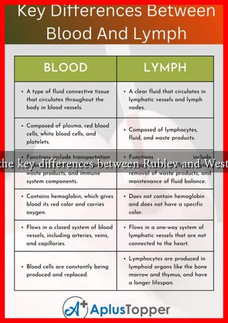 What are the key differences between Rublev and Western artists