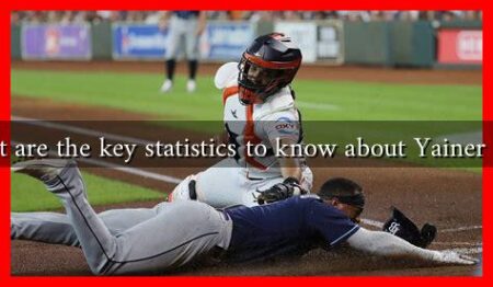 What are the key statistics to know about Yainer Diaz