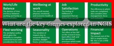 What are the key themes explored in NCIS