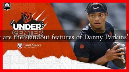 What are the standout features of Danny Parkins’ style What are the standout features of Danny Parkins' style