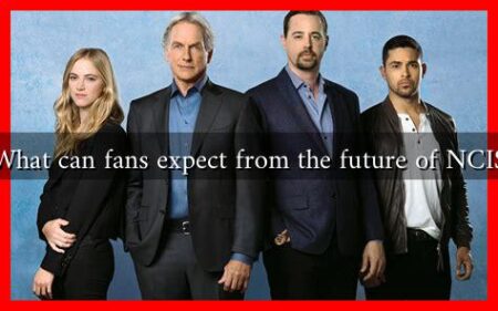 What can fans expect from the future of NCIS