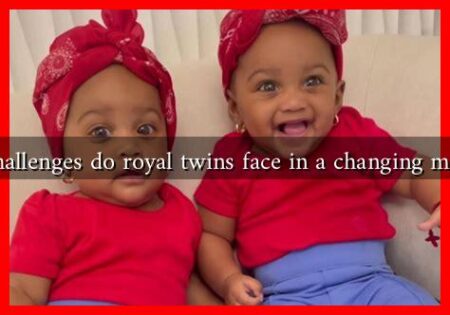 What challenges do royal twins face in a changing monarchy What challenges do royal twins face in a changing monarchy